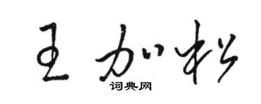 骆恒光王加松草书个性签名怎么写