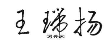 骆恒光王瑞扬草书个性签名怎么写