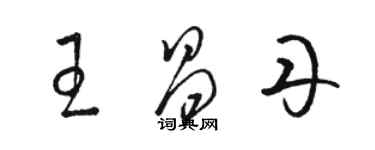 骆恒光王昌丹草书个性签名怎么写