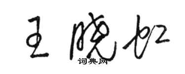 骆恒光王晓虹草书个性签名怎么写