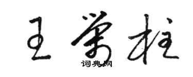 骆恒光王荣柱草书个性签名怎么写
