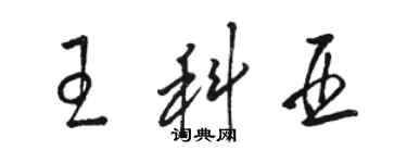 骆恒光王科亚草书个性签名怎么写