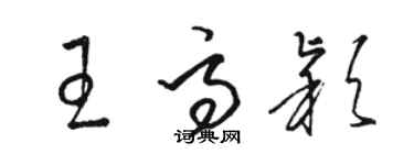 骆恒光王高颖草书个性签名怎么写