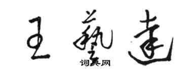 骆恒光王艺达草书个性签名怎么写