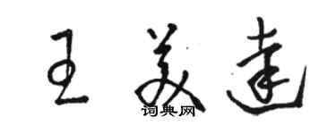 骆恒光王美达草书个性签名怎么写