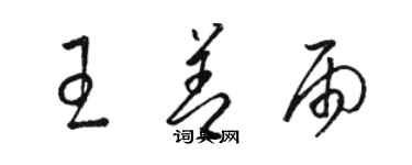 骆恒光王善雨草书个性签名怎么写