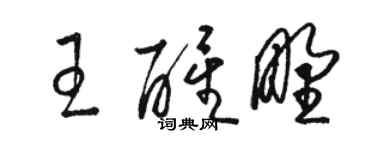 骆恒光王醒野草书个性签名怎么写