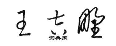 骆恒光王吉野草书个性签名怎么写