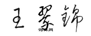 骆恒光王翠锦草书个性签名怎么写