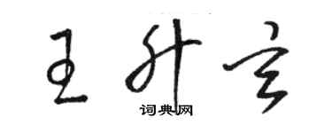 骆恒光王升玄草书个性签名怎么写
