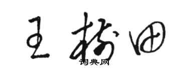 骆恒光王树田草书个性签名怎么写