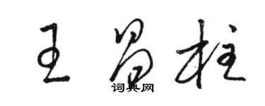 骆恒光王昌柱草书个性签名怎么写