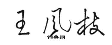 骆恒光王风枝草书个性签名怎么写
