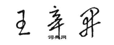 骆恒光王辛开草书个性签名怎么写