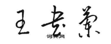 骆恒光王书兰草书个性签名怎么写