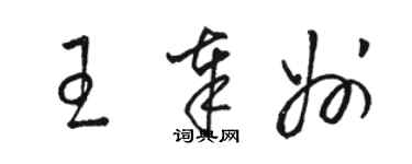 骆恒光王奉州草书个性签名怎么写