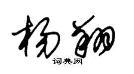 朱锡荣杨翔草书个性签名怎么写
