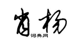 朱锡荣肖杨草书个性签名怎么写