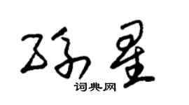 朱锡荣孙星草书个性签名怎么写