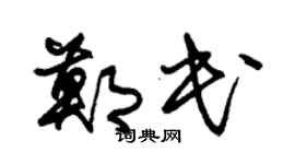 朱锡荣郑民草书个性签名怎么写