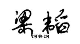 朱锡荣梁韬草书个性签名怎么写