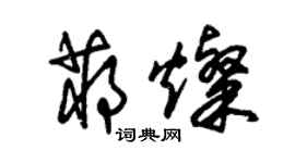朱锡荣蒋灿草书个性签名怎么写