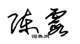 朱锡荣陈霞草书个性签名怎么写