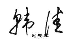 骆恒光韩佳草书个性签名怎么写