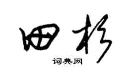 朱锡荣田杉草书个性签名怎么写