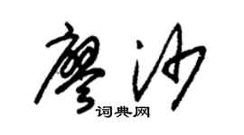 朱锡荣廖沙草书个性签名怎么写