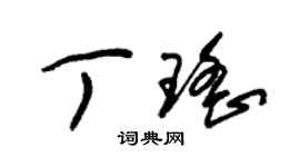 朱锡荣丁瑶草书个性签名怎么写