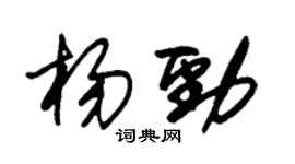 朱锡荣杨劲草书个性签名怎么写