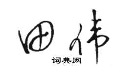 骆恒光田伟草书个性签名怎么写