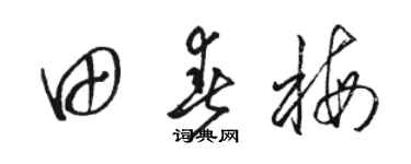 骆恒光田春梅草书个性签名怎么写