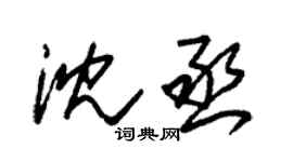 朱锡荣沈丞草书个性签名怎么写