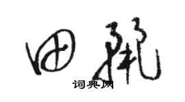 骆恒光田丽草书个性签名怎么写