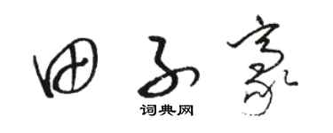 骆恒光田子豪草书个性签名怎么写