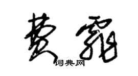朱锡荣费霏草书个性签名怎么写
