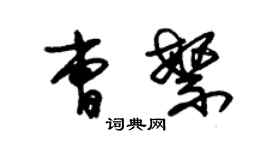 朱锡荣曹繁草书个性签名怎么写