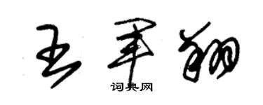 朱锡荣王军翔草书个性签名怎么写