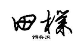 朱锡荣田朴草书个性签名怎么写