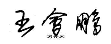 朱锡荣王会鹏草书个性签名怎么写
