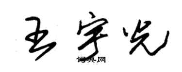 朱锡荣王宇光草书个性签名怎么写