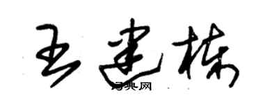 朱锡荣王建栋草书个性签名怎么写