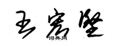 朱锡荣王宏坚草书个性签名怎么写
