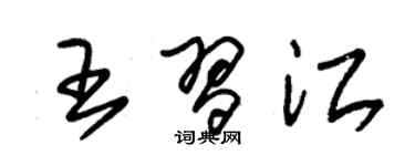 朱锡荣王习江草书个性签名怎么写