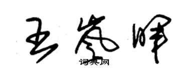 朱锡荣王岚晖草书个性签名怎么写