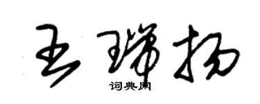 朱锡荣王瑞扬草书个性签名怎么写