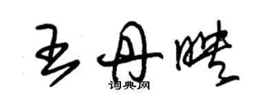 朱锡荣王丹映草书个性签名怎么写