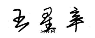 朱锡荣王星辛草书个性签名怎么写